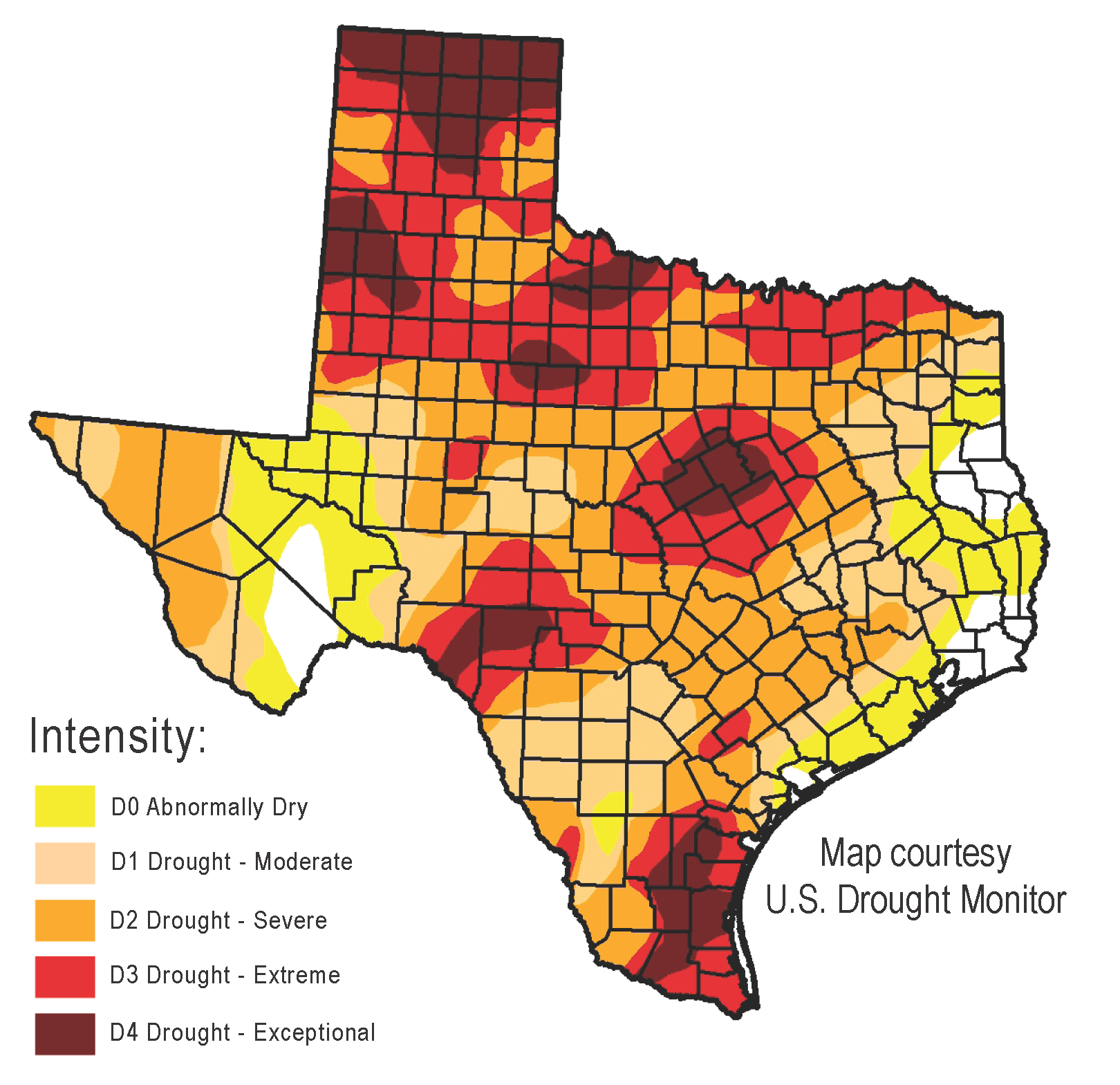 Texas_Drought Environmental ProseEnvironmental Prose